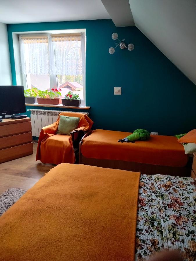 Zgorzanka Villa Istebna Bagian luar foto