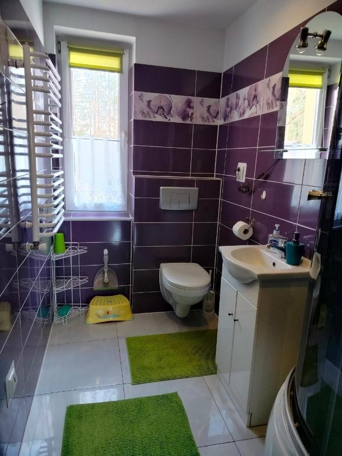 Zgorzanka Villa Istebna Bagian luar foto